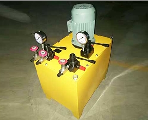 深圳非标电动泵生产