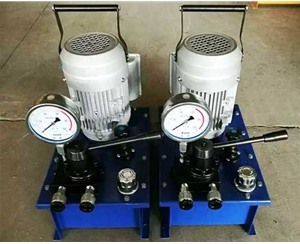 深圳标准电动泵供应价格