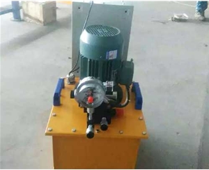 深圳标准电动泵供应生产