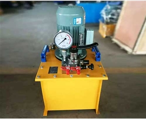 深圳标准电动泵生产厂家供应